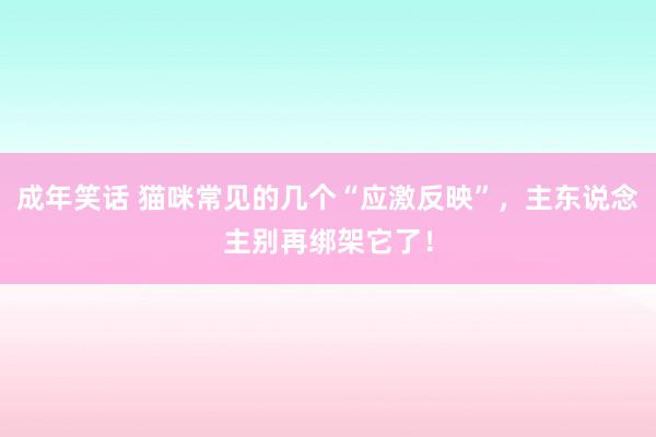 成年笑话 猫咪常见的几个“应激反映”，主东说念主别再绑架它了！