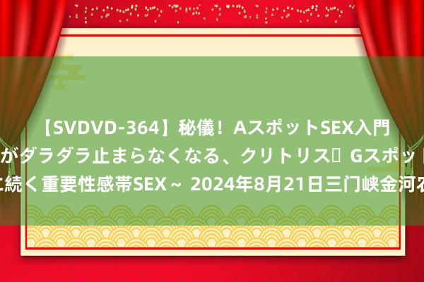 【SVDVD-364】秘儀!AスポットSEX入門 ~刺激した瞬間から愛液がダラダラ止まらなくなる、クリトリス・Gスポットに続く重要性感帯SEX~ 2024年8月21日三门峡金河农家具批发来回中心价钱行情