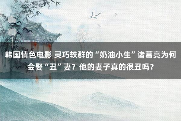 韩国情色电影 灵巧轶群的“奶油小生”诸葛亮为何会娶“丑”妻？他的妻子真的很丑吗？