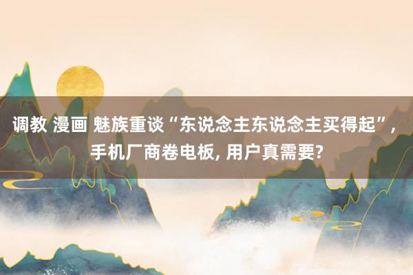 调教 漫画 魅族重谈“东说念主东说念主买得起”, 手机厂商卷电板, 用户真需要?
